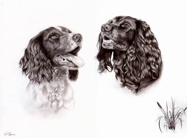 Bee and Ru dog portraits