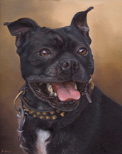 Dog portraits