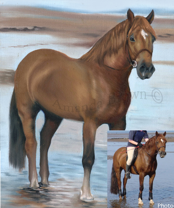 Darcy horse painting