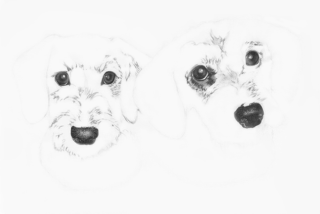 Orlagh and Lottie stage 1