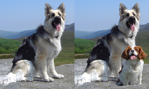 THe designs for Maddie and Eve's portrait