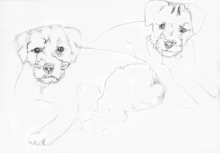 Tilly & Muzzy stage 1