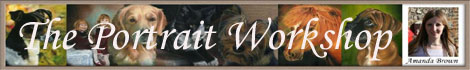 pet portraits banner