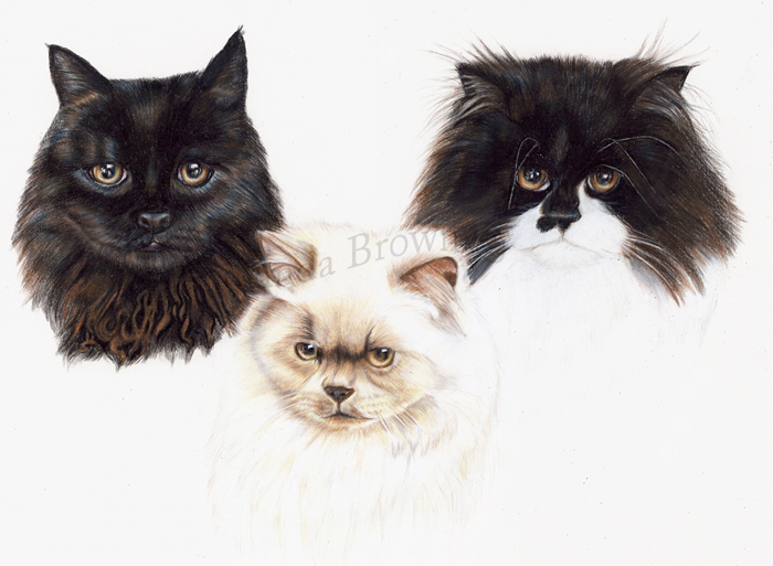 Ben Rupert and Tuppence