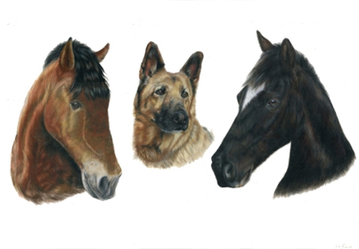 Bertie max and mattie