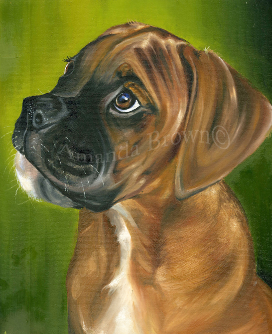 Brian boxer portrait