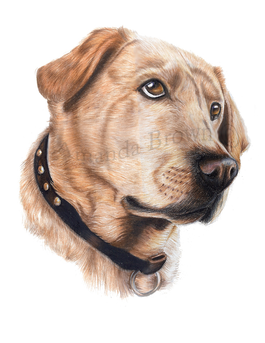 Emma coloured pencil 