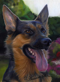 Gemma german shepherd painting