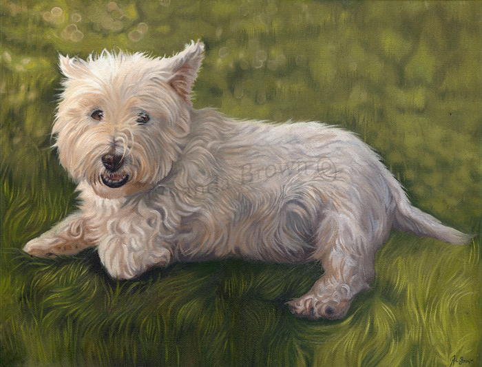 George westie portrait