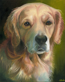 Montyretriever