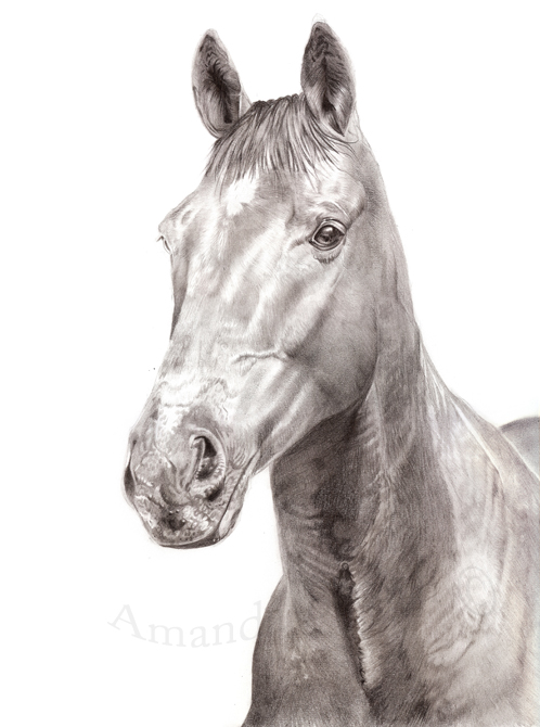 Oz pencil picture