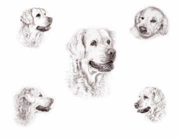 Rosie montage portrait