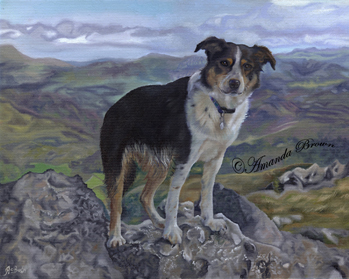 Sally in the mountains