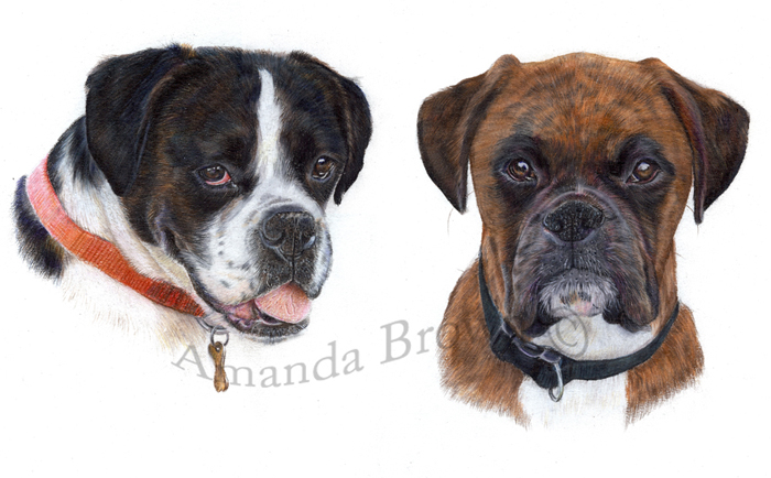 Sophie and Billy pencils