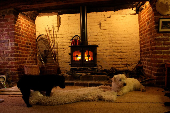 Jasmine stealing from Toby