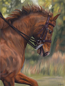 Horse in Oils